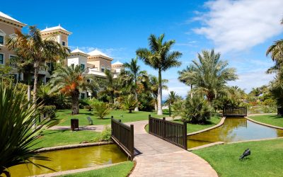 Unforgettable Family Vacations Await at Rocky Point Resorts Along the Arizona Coastline