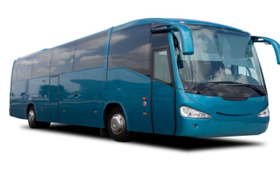 Travelers Love How the Best Bus Tours Showcase Stunning Scenery and Hidden Gems