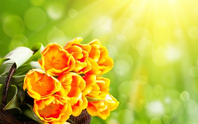 Brighten Special Events with Flower Arrangements Toledo OH Residents Recommend Most