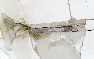 Keep Your Family Safe Through Professional Water Damage Cleanup in Joliet, IL Solutions