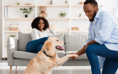 Find the perfect home for you and your pet in pet friendly apartments in Freeport FL