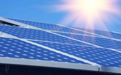 Save Money and Support the Environment with Household Solar Panels in Clearwater, FL